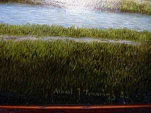 Albert Temming - Langs de Kromme Rijn -voorjaar 1983- kopen? Bied vanaf 150!