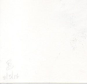 Paul Louis Van Den Bergh - Gemengde Techniek - Gesigneerd - 2018 kopen? Bied vanaf 30!