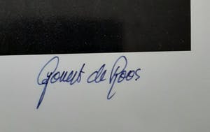 Govert de Roos - Cyndi Lauper in het Americain hotel in Amsterdam kopen? Bied vanaf 15!