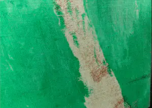 Jan van den Bergh - Monoprint op textiel, Plantaardig kopen? Bied vanaf 1!