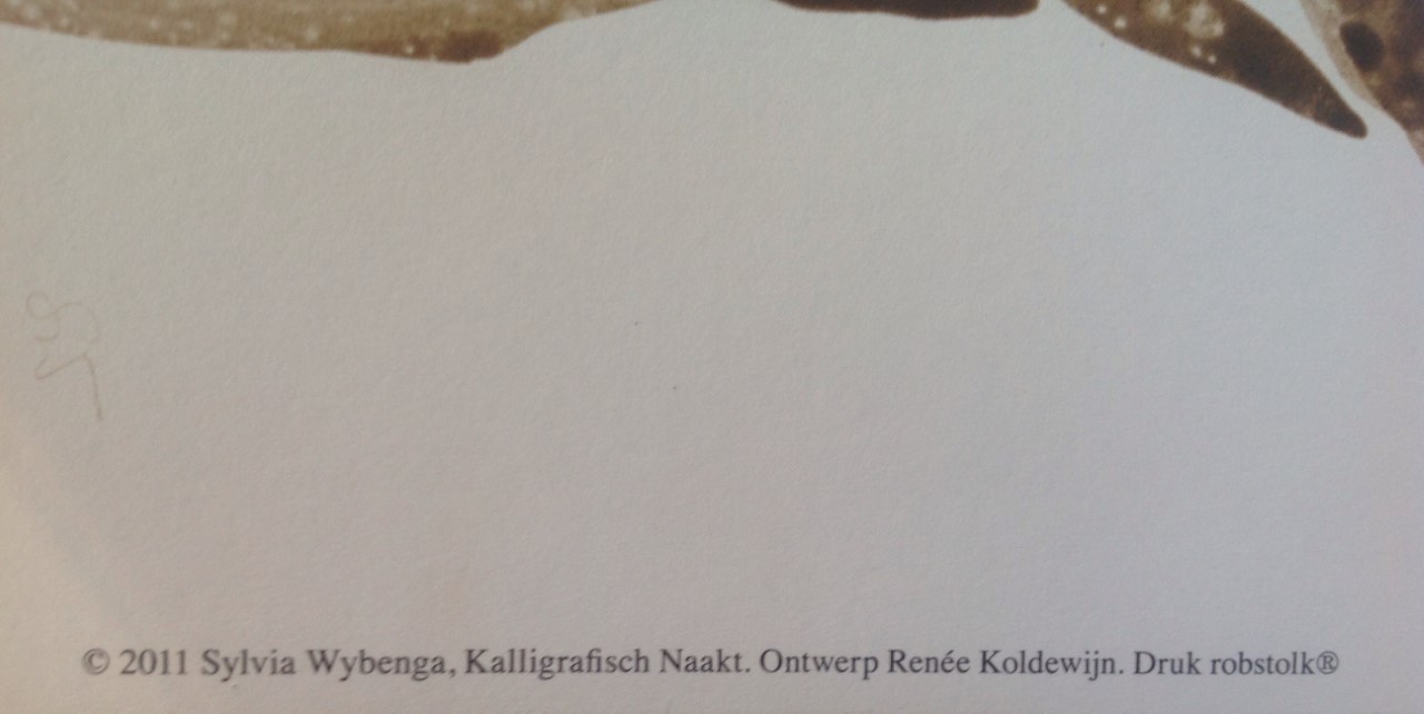 Niet of onleesbaar gesigneerd - Sylvia Wybenga - Kalligrafisch Naakt - 32 portretten kopen? Bied vanaf 1!