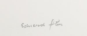 Eduard Flor - Kleurenets, Par avion kopen? Bied vanaf 1!