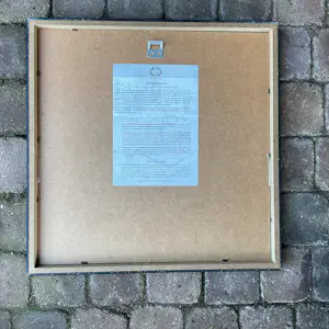 Ad van Hassel - Vier tulpen. kopen? Bied vanaf 25!