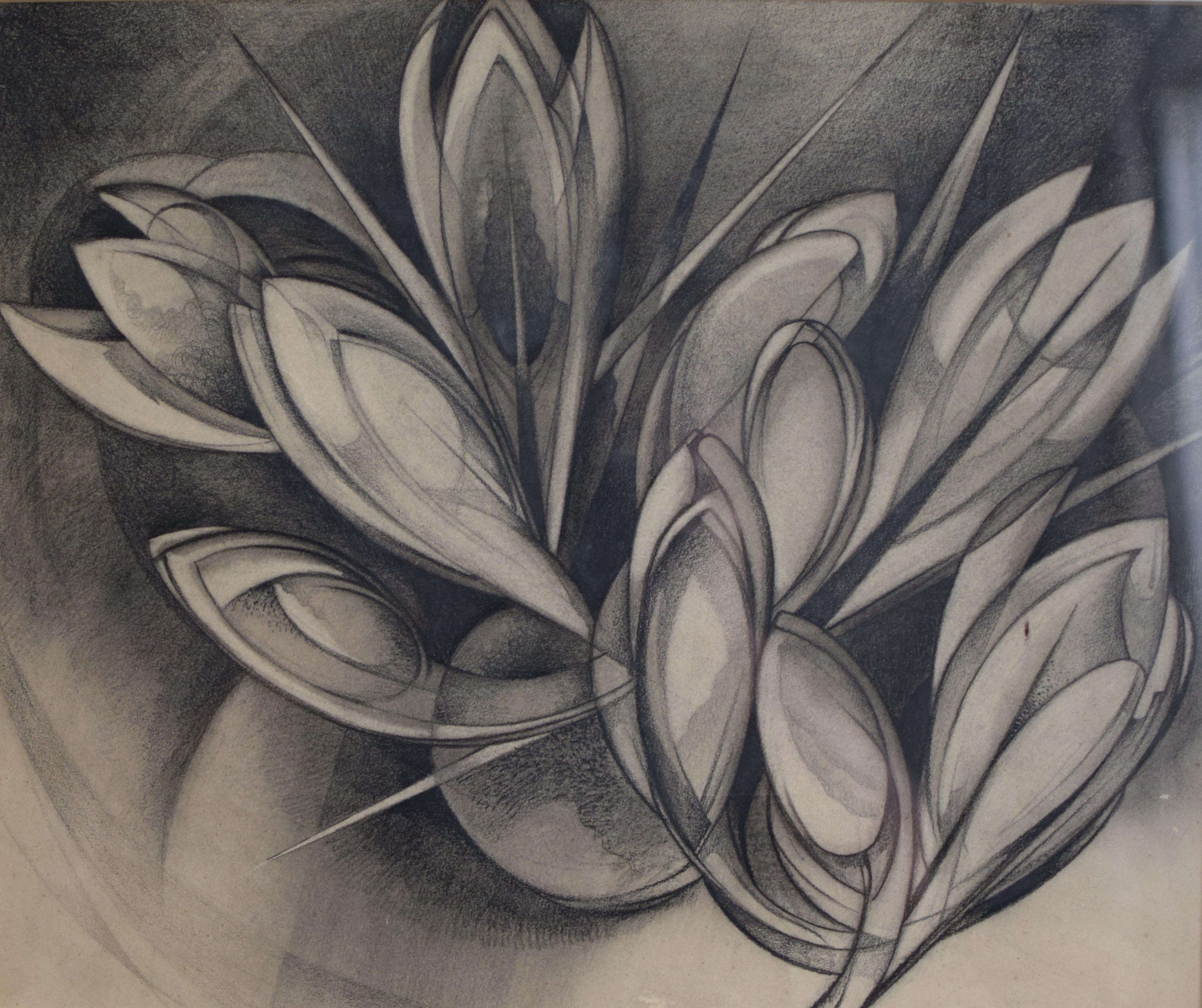 Wim Kersten - Krokussen kopen? Bied vanaf 25!