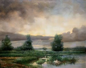 Rob Hessels - Broedend zwanenpaar in landschap. kopen? Bied vanaf 200!