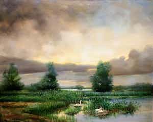 Rob Hessels - Broedend zwanenpaar in landschap. verkocht voor € 200!