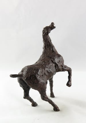 Annette Koek - Brons, Paard kopen? Bied vanaf 350!