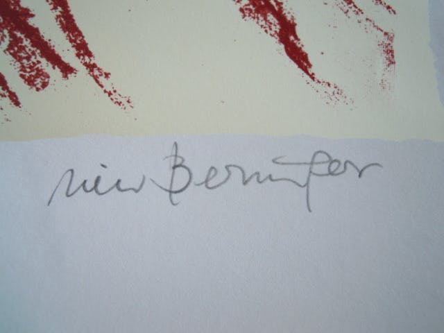 Rien Beringer - Prachtige zeefdruk in mooie staat. kopen? Bied vanaf 1!