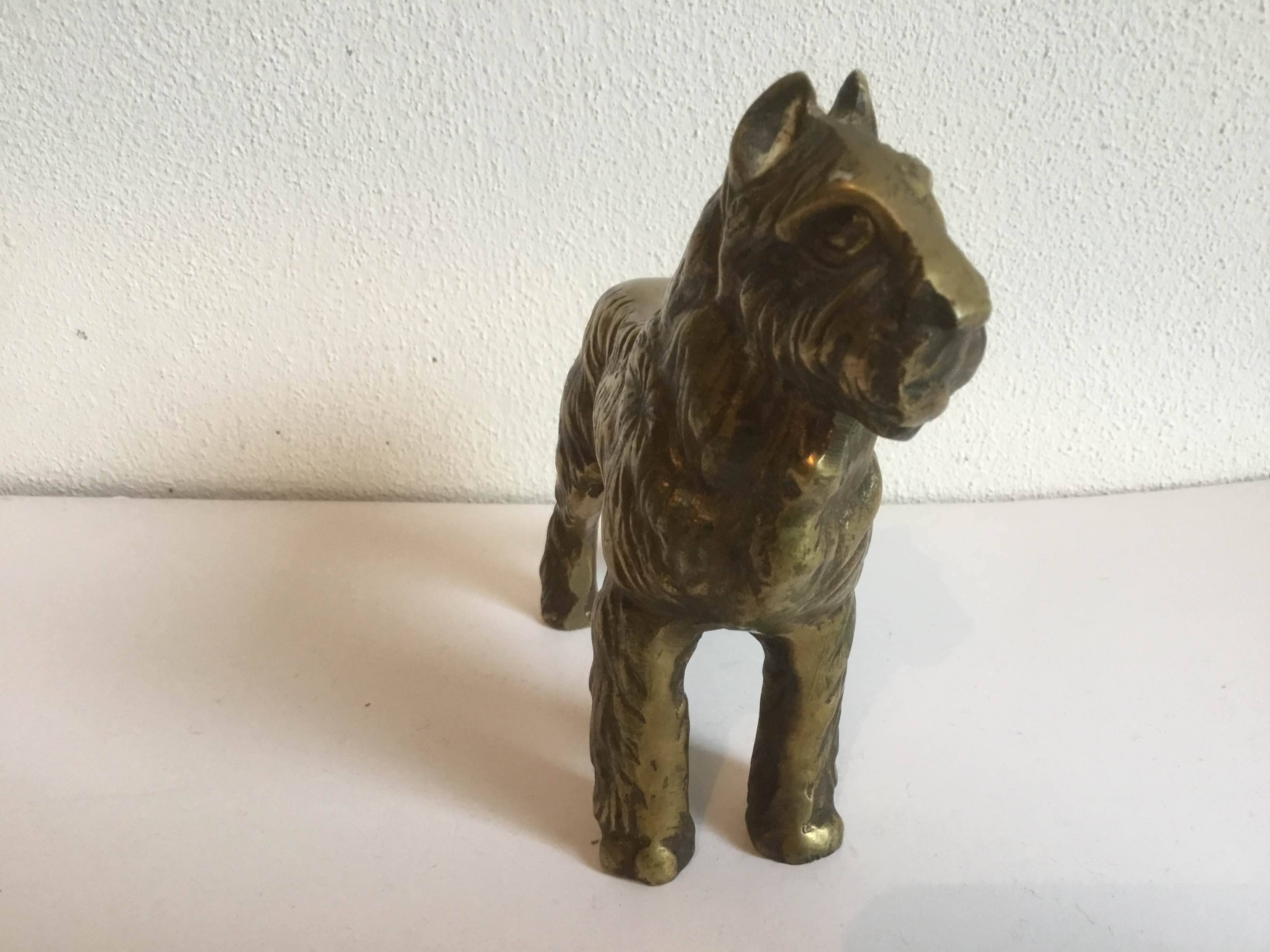 Brons (Onbekend) - Bouvier kopen? Bied vanaf 1!