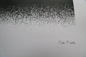 Piet Fioole - Fraaie, in 1974 gemaakte kleuren zeefdruk "Groote Peel I" - bep. oplage (75) kopen? Bied vanaf 45!