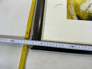 Charlotte Molenkamp - Bruisend Blond kopen? Bied vanaf 10!