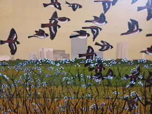 Joost Minnigh - Knotwilg - unicum kopen? Bied vanaf 1500!