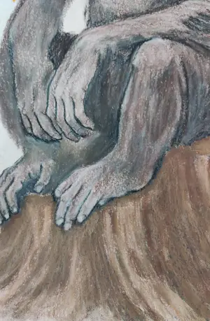 Martine Jacobs - Apen Stilte kopen? Bied vanaf 59!