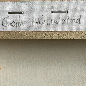 Cobi Nieuwstad - Pain-t 4 kopen? Bied vanaf 45!