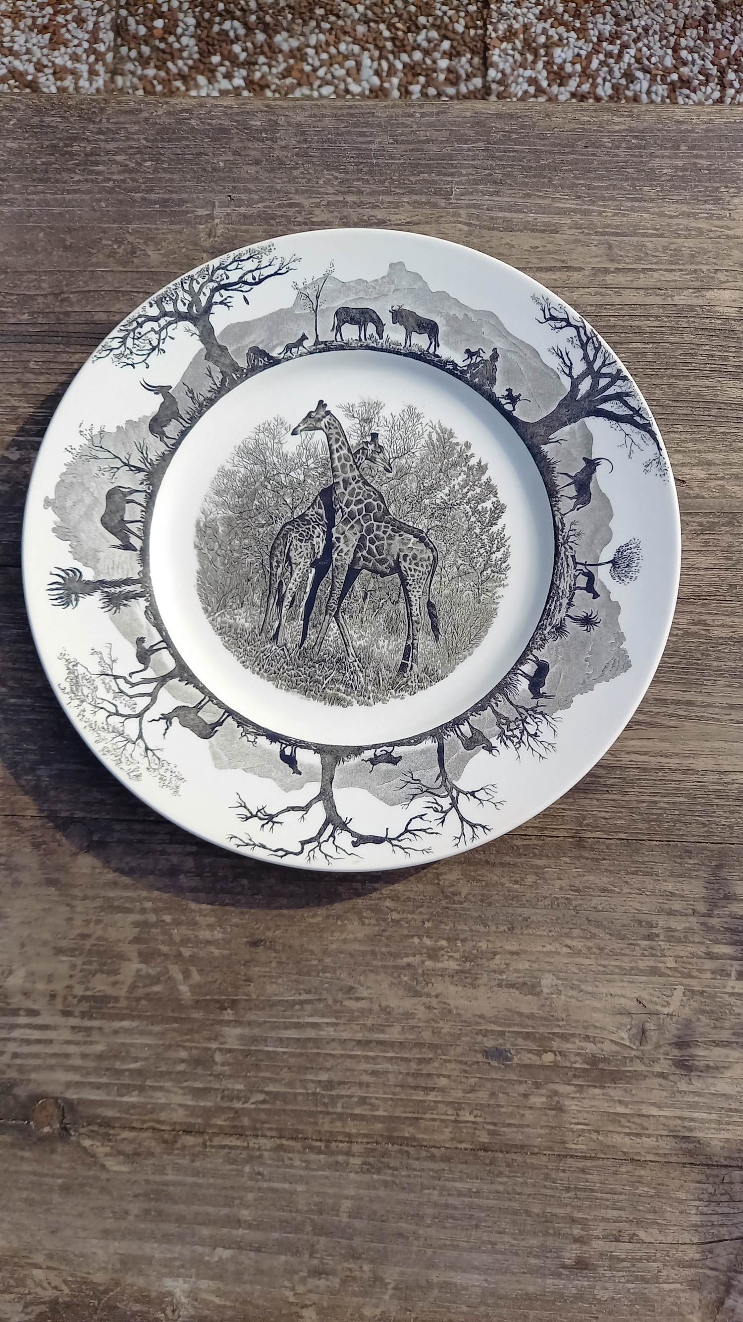 Wedgwood - Kruger National Park Giraf bord kopen? Bied vanaf 25!