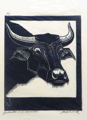 Jan Schonk - Afbeelding van een os verkocht voor € 35!