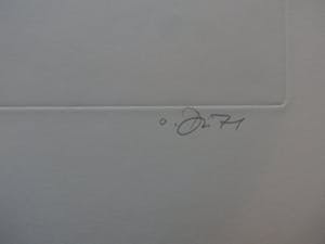 Gerd van Dulmen - ets/aquatint: wespen - 1971 kopen? Bied vanaf 35!