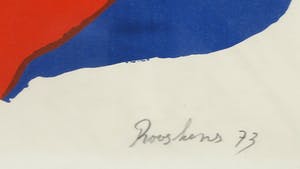 Anton Rooskens - Litho, Birds - Ingelijst kopen? Bied vanaf 200!
