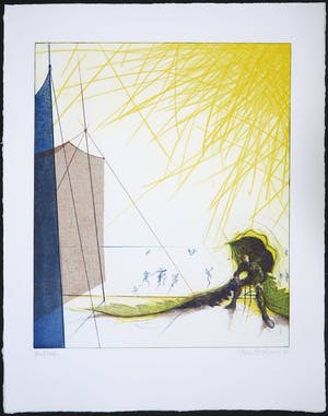 Ronald Tolman - kleurenets - Diadolos - 1992 kopen? Bied vanaf 95!