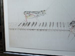 Corstiaan de Vries - (Kleur)potlood-tekening , Sprinkhaan en Bij op piano – ingelijst – 94 x 80 cm kopen? Bied vanaf 1!