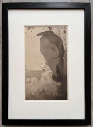 Jan Mankes - Originele Heliogravure Raaf in Berkenboom 1923 kopen? Bied vanaf 185!