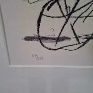 Kees Salentijn - Zeefdruk, De stadsfietser ingelijst kopen? Bied vanaf 60!