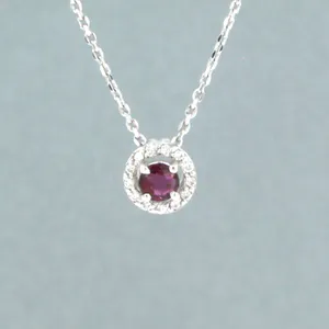 14k gouden collier met hanger bezet met robijn en briljant geslepen diamant kopen? Bied vanaf 160!