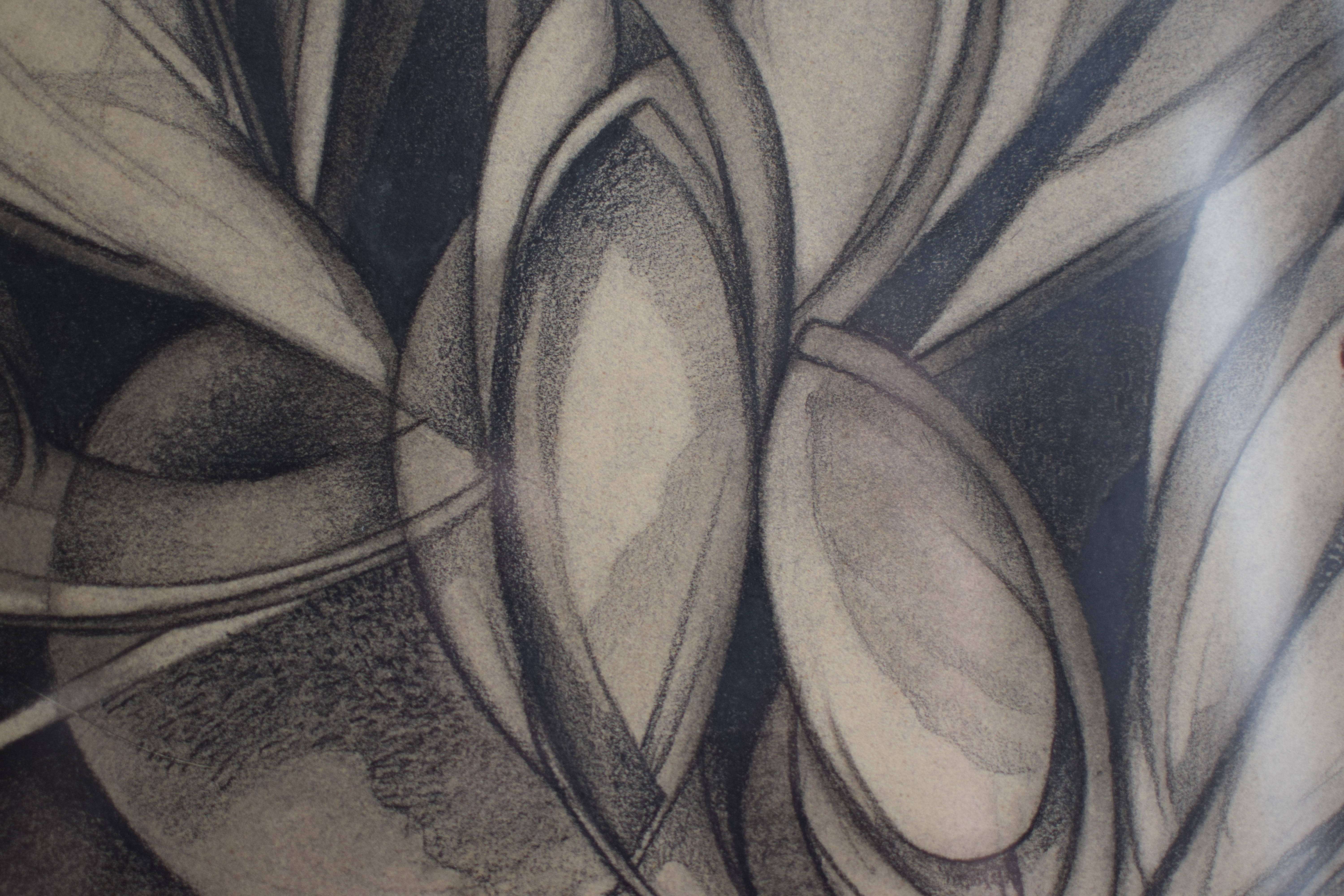 Wim Kersten - Krokussen kopen? Bied vanaf 25!