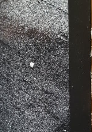 Gilbert & George - New Normal Pictures II kopen? Bied vanaf 49!