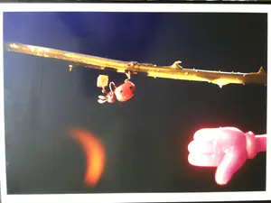 Henk Tas - Beetles out! kopen? Bied vanaf 20!