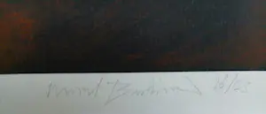 Marcel Bastiaans - Gelitimeerde zeefdruk "BMW in beeld" kopen? Bied vanaf 50!