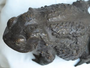 Niet of onleesbaar gesigneerd - Bronzen beeld , Kikker / Pad kopen? Bied vanaf 10!