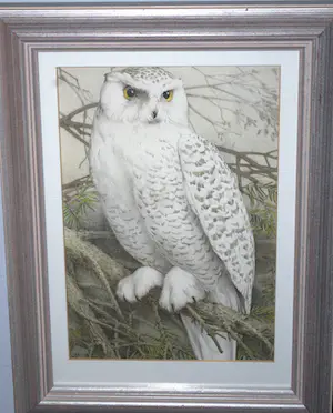 Jan Voerman (jr.) - kleurenlitho sneeuwuil kopen? Bied vanaf 50!