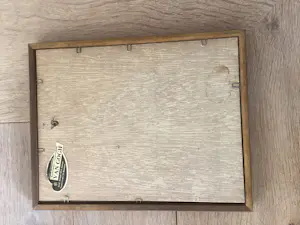 Warner Hemstede - Knotwilgen aan slootwal met dorpsgezicht kopen? Bied vanaf 60!