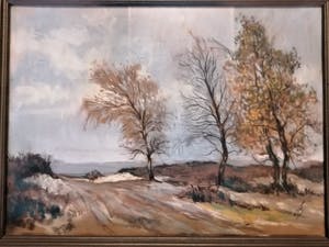 Herman van der Weele - Zandverstuiving op de Veluwe kopen? Bied vanaf 40!