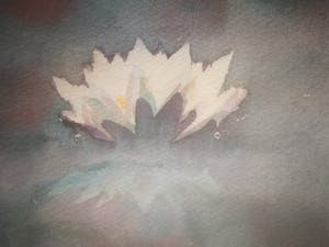 Hans Geernaert - Waterlelie. kopen? Bied vanaf 39!