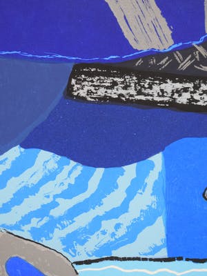 Ronald Boonacker - Aruba kopen? Bied vanaf 50!