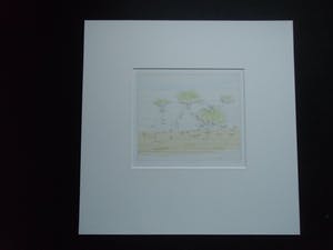 Co Westerik - MEISJE, WATER EN PLANTEN kopen? Bied vanaf 160!