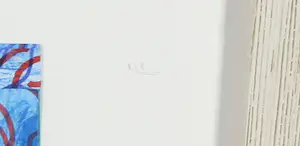 Liz Strick - Collage, Time Frame kopen? Bied vanaf 1!