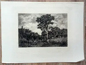 C.L. Dake - ets: landschap kopen? Bied vanaf 49!
