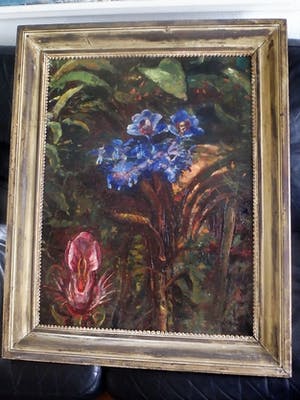 Jacobus Doeser - bloemen en planten kopen? Bied vanaf 250!