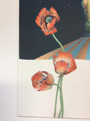 Ernst Hanke - gravity is relative kopen? Bied vanaf 110!