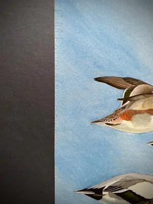 Frits-Jan Maas - Aquarel van eenden kopen? Bied vanaf 49!