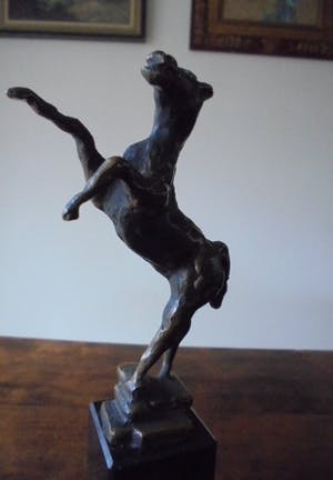 Ruurd Hallema - steigerend paard-prachtig patina kopen? Bied vanaf 175!
