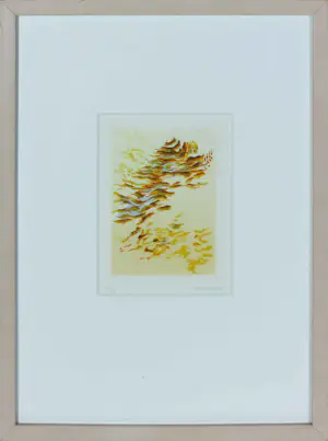 Nono Reinhold - Aquatint, Le veut - Ingelijst kaufen? Bieten Sie von 70!