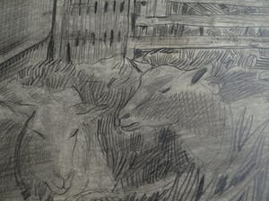 Hubert Bekman - Ingelijste tekening, Schapen - ingelijst – 1945 kopen? Bied vanaf 25!