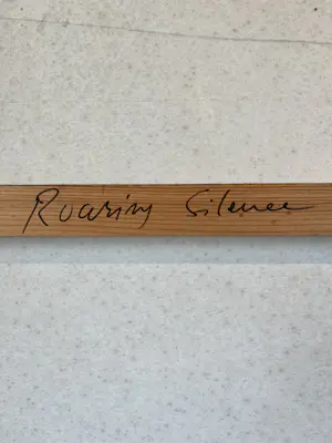 Peter Maasdam - Roaring silence kopen? Bied vanaf 450!