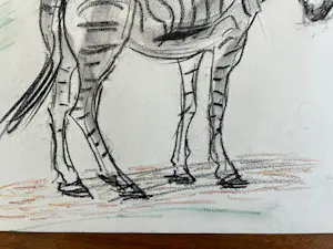 Cornelis Jan Mension - Tekening van een zebra, gemaakt in Artis kopen? Bied vanaf 80!