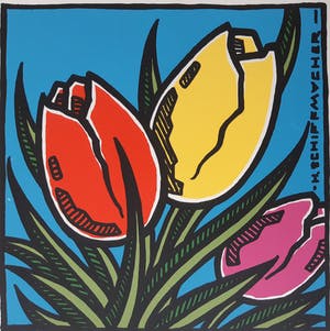 Henk Schiffmacher - Tulpen kopen? Bied vanaf 20!