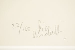 Dick Verdult - Bruce lee hartattack kopen? Bied vanaf 1!